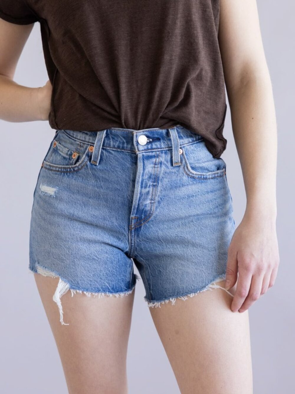 NWT Levi's 501 Curve Denim Jean Shorts in Medium Wash Blue Size 29